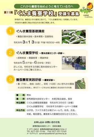 キャプションが入ります