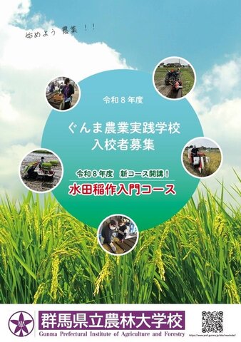 キャプションが入ります