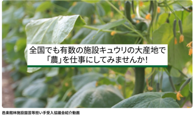 キャプションが入ります